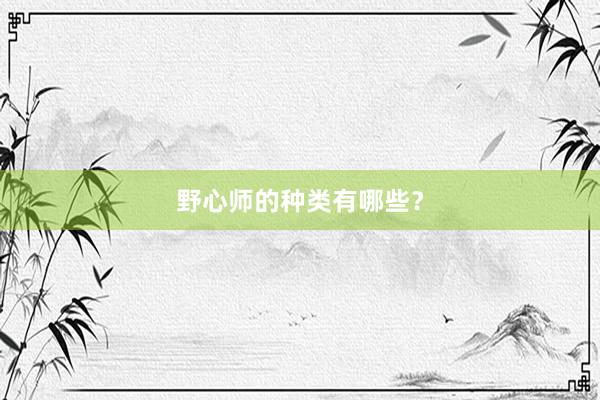 野心师的种类有哪些？