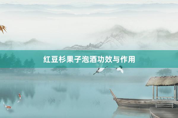 红豆杉果子泡酒功效与作用