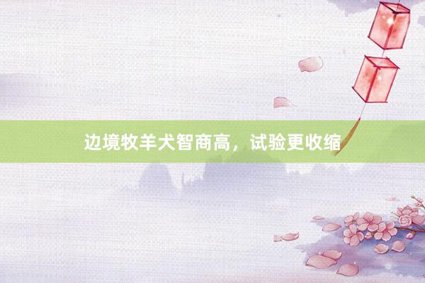 边境牧羊犬智商高，试验更收缩