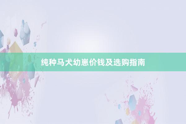 纯种马犬幼崽价钱及选购指南