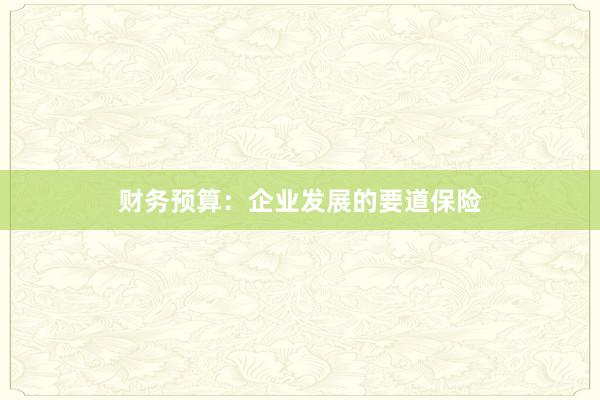 财务预算：企业发展的要道保险